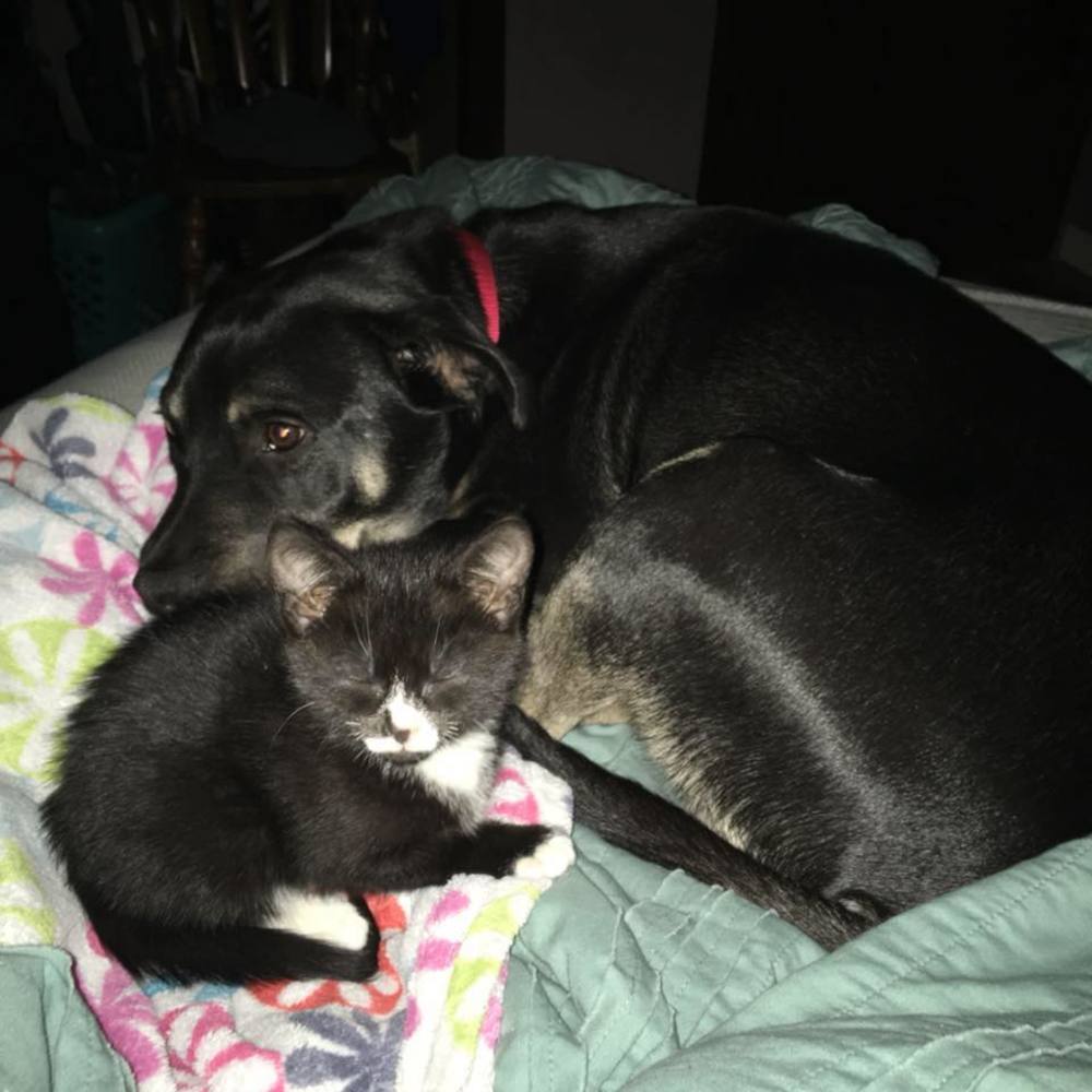 Meet your Posher, Audrey